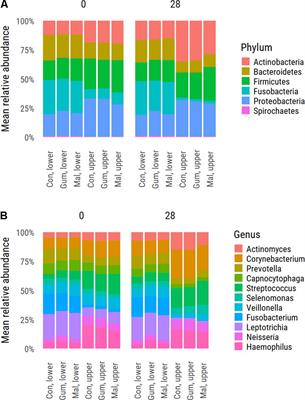 The Impact of Maltitol-Sweetened Chewing Gum on the Dental Plaque Biofilm Microbiota Composition